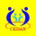 Cedan-logo 140x140